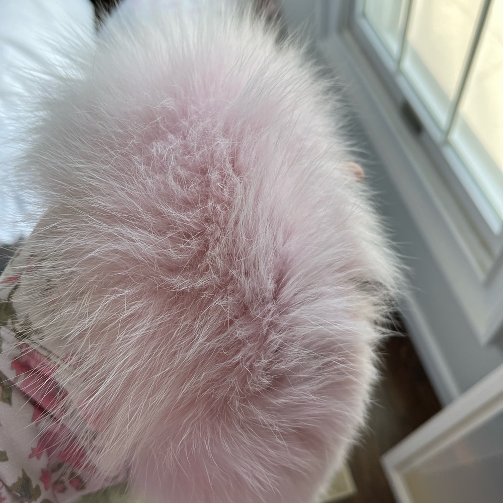 Pink‎ fur collar